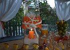 DSC 0239 (2)